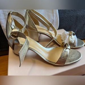 Alexandre Birman Clarita Block 60